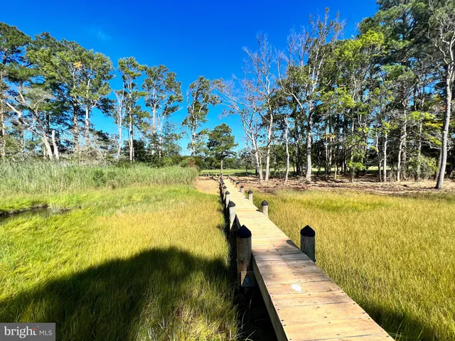 a swimming pool with trees in the background