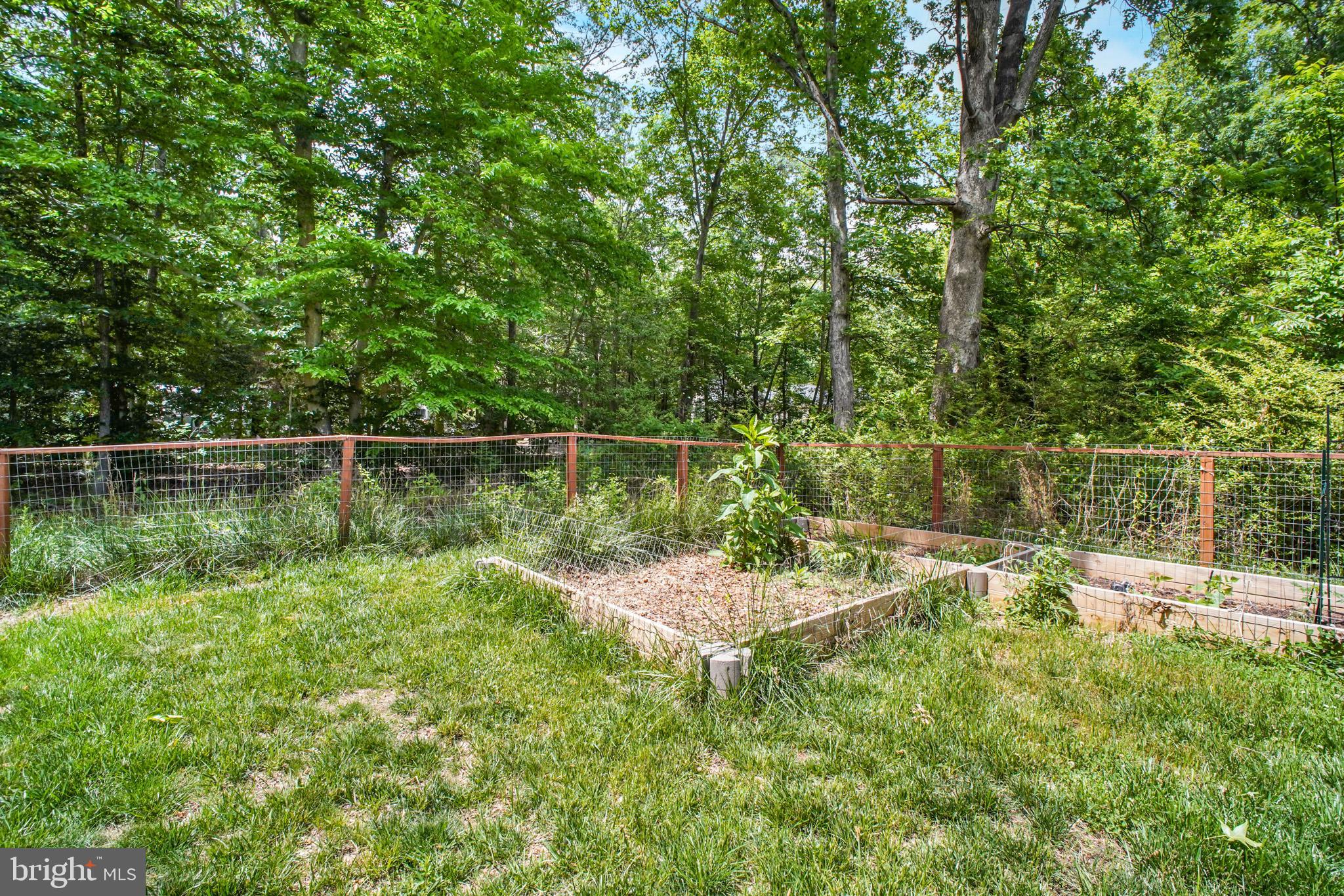 7264 Macedonia Road Woodford, VA 22580 - Photo 14 of 44