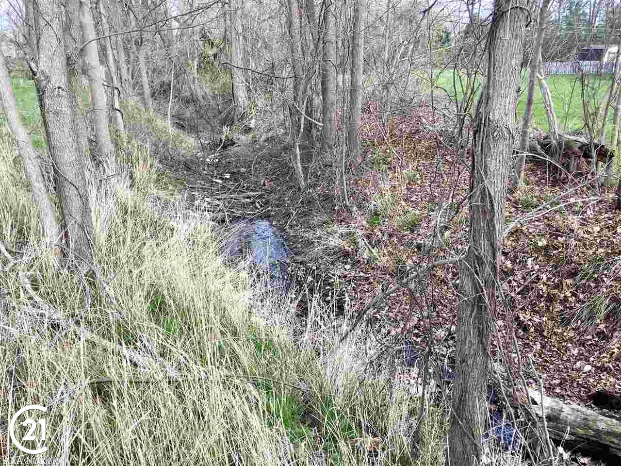 46770 Tilch Road Macomb, MI 48044 - Photo 10 of 17