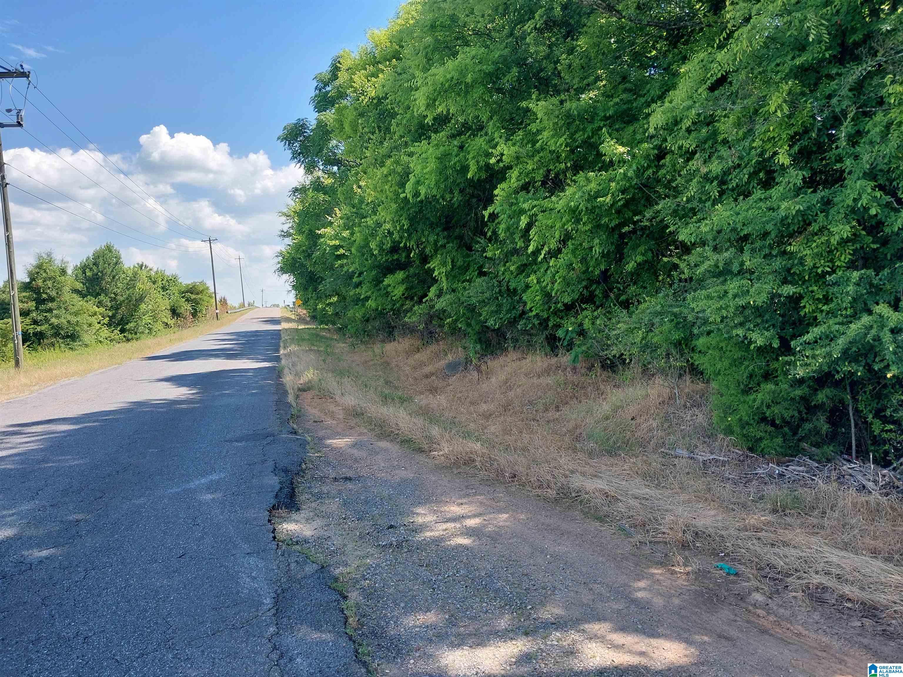 0 Airport Road Eastaboga, AL 36260 - Photo 1 of 3