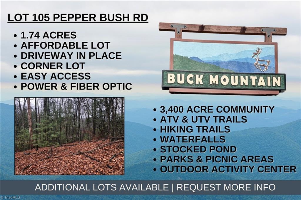 Lot 105 Pepper Bush Road Purlear, NC 28665 - Photo 1 of 25