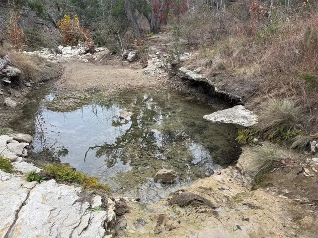 a close up of a tree
