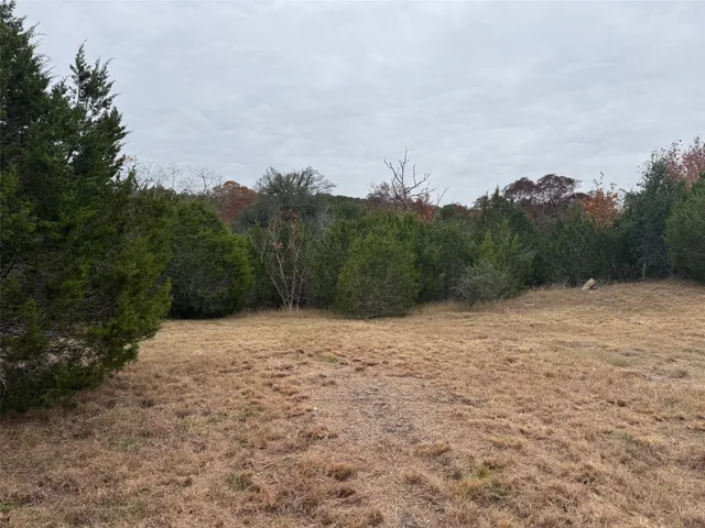 a backyard of a house with large trees