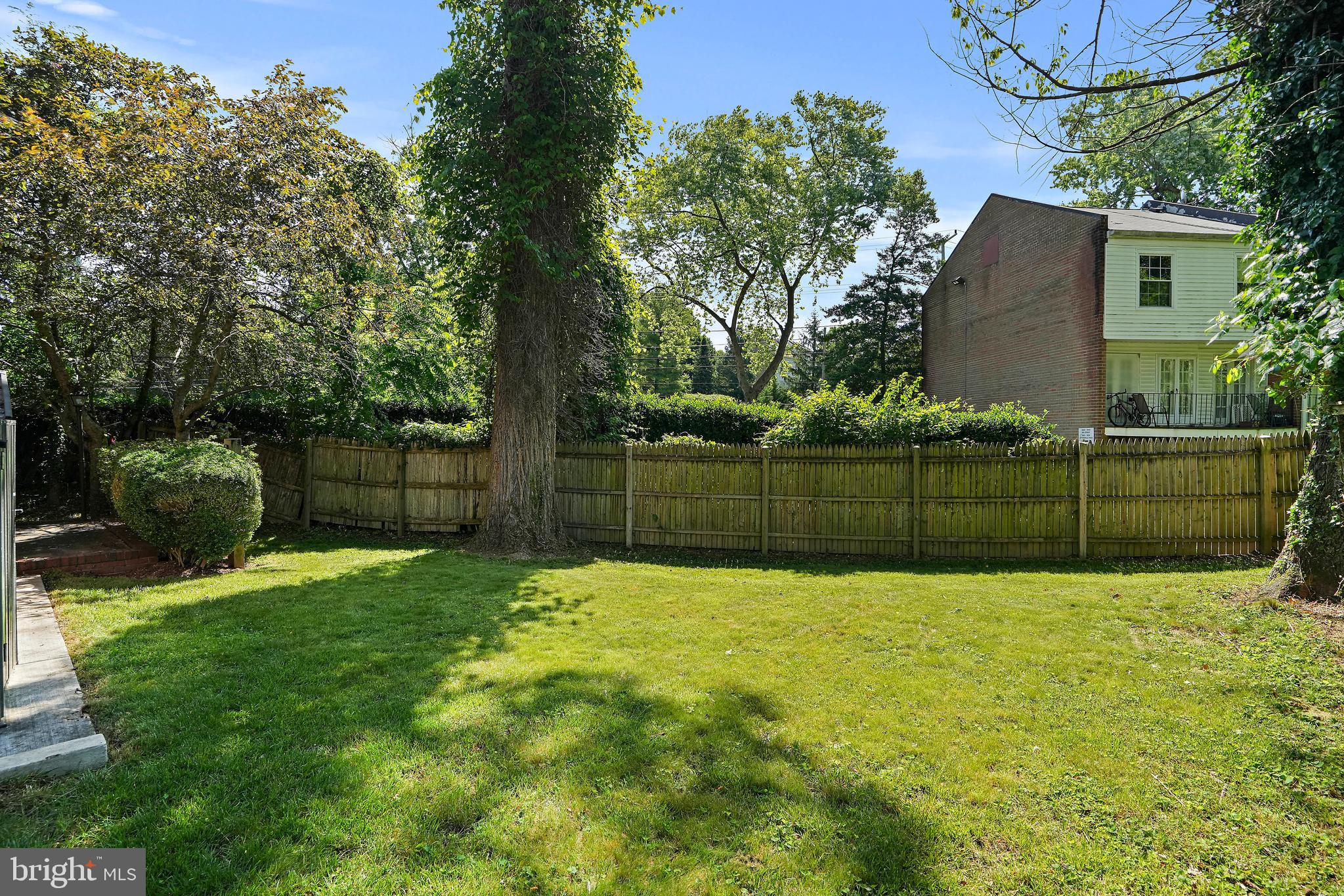 1908 Elkhart Street Silver Spring, MD 20910 - Photo 29 of 30 Rear yard