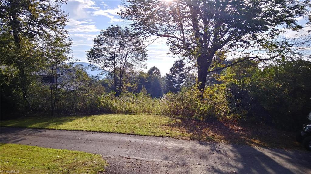 175 Chateau Road Fancy Gap, VA 24328 - Photo 2 of 15 Gallery Image 2
