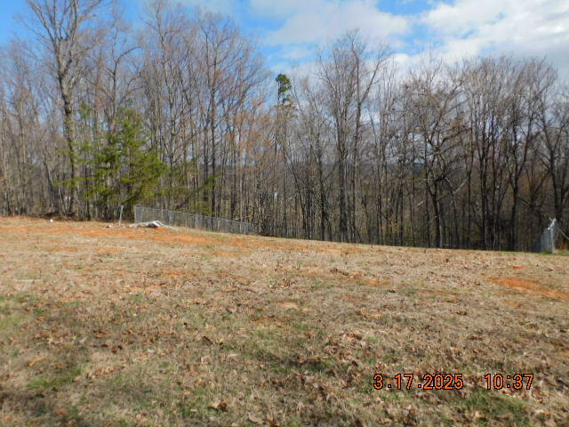 1168 Wilford Hollow Road Vinton, VA 24179 - Photo 3 of 4 a view of a yard with trees