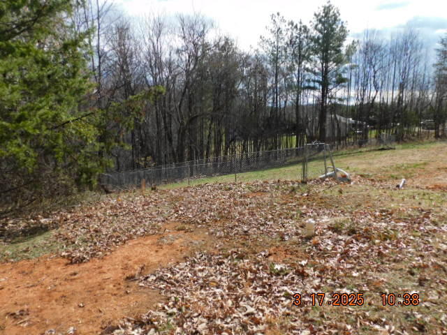 1168 Wilford Hollow Road Vinton, VA 24179 - Photo 4 of 4 a backyard of a house with lots of green space