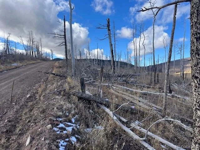 $11,000 | Lot 2397 Petito Drive, Fort Garland, CO 81133