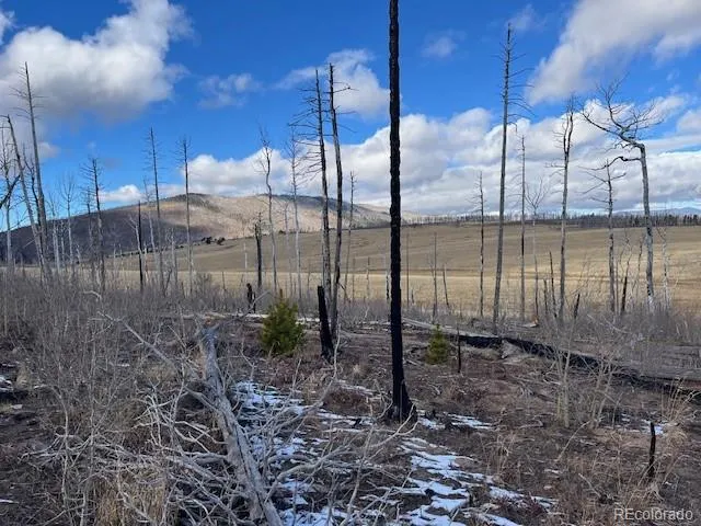 $11,000 | Lot 2397 Petito Drive, Fort Garland, CO 81133