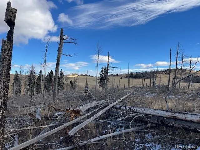 $11,000 | Lot 2397 Petito Drive, Fort Garland, CO 81133