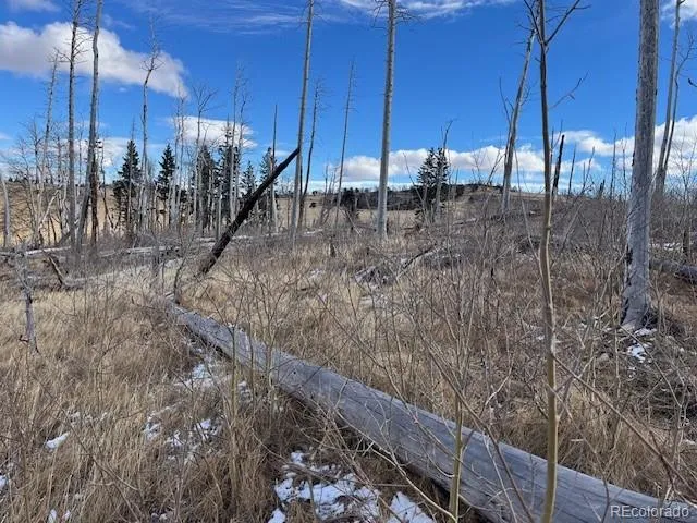 $11,000 | Lot 2397 Petito Drive, Fort Garland, CO 81133