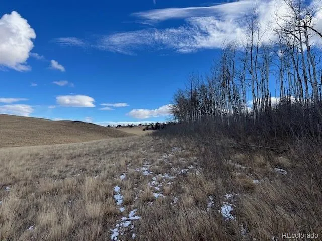 $11,000 | Lot 2397 Petito Drive, Fort Garland, CO 81133