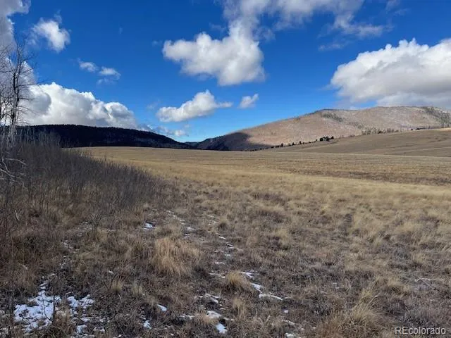 $11,000 | Lot 2397 Petito Drive, Fort Garland, CO 81133