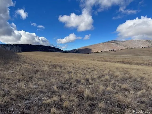 $11,000 | Lot 2397 Petito Drive, Fort Garland, CO 81133