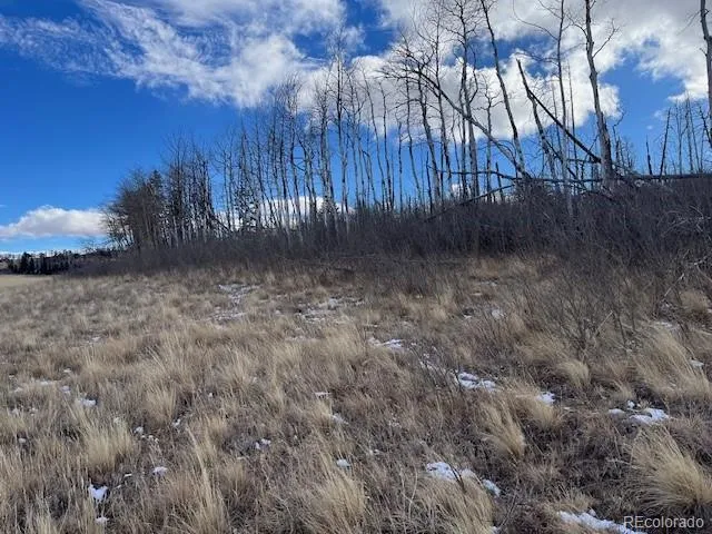 $11,000 | Lot 2397 Petito Drive, Fort Garland, CO 81133