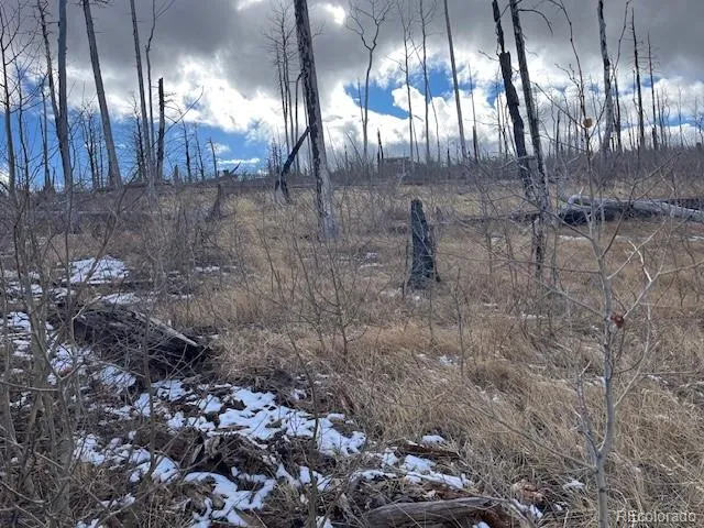 $11,000 | Lot 2397 Petito Drive, Fort Garland, CO 81133