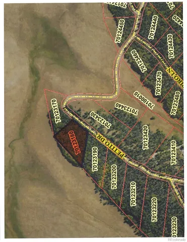 $11,000 | Lot 2397 Petito Drive, Fort Garland, CO 81133