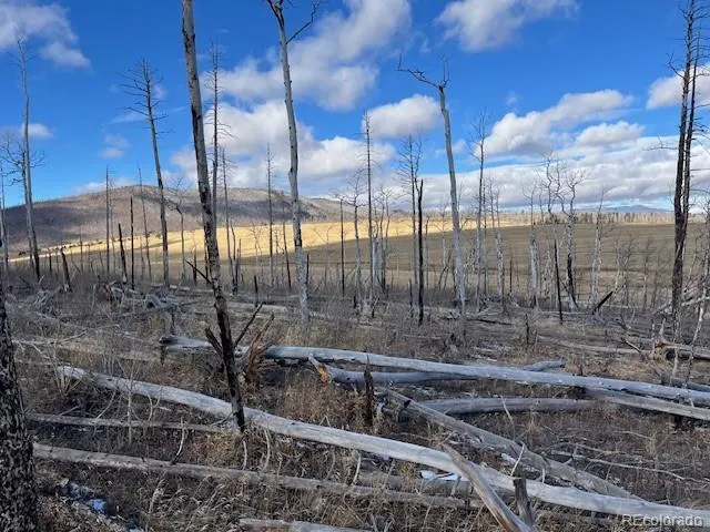 $11,000 | Lot 2397 Petito Drive, Fort Garland, CO 81133