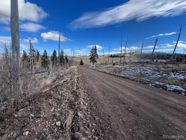 $11,000 | Lot 2397 Petito Drive, Fort Garland, CO 81133