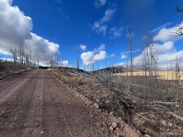$11,000 | Lot 2397 Petito Drive, Fort Garland, CO 81133