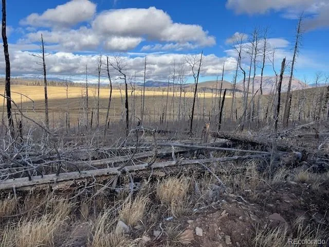 $11,000 | Lot 2397 Petito Drive, Fort Garland, CO 81133
