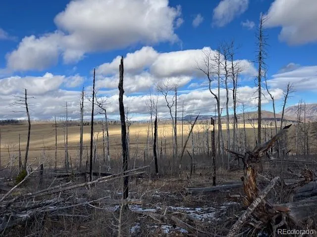 $11,000 | Lot 2397 Petito Drive, Fort Garland, CO 81133