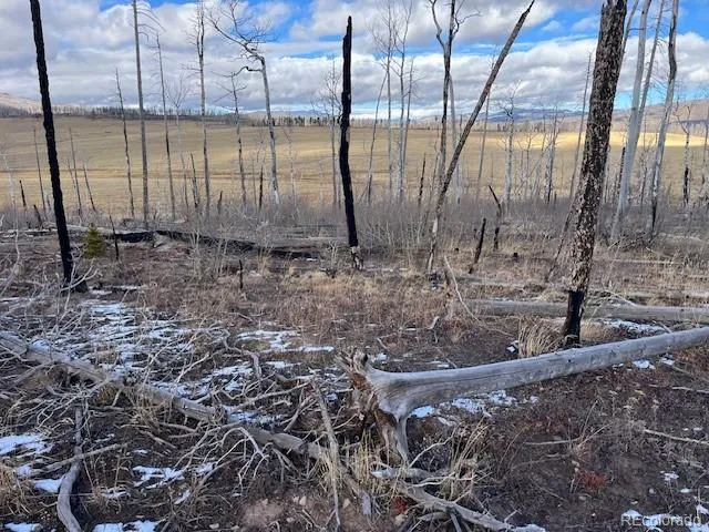 $11,000 | Lot 2397 Petito Drive, Fort Garland, CO 81133