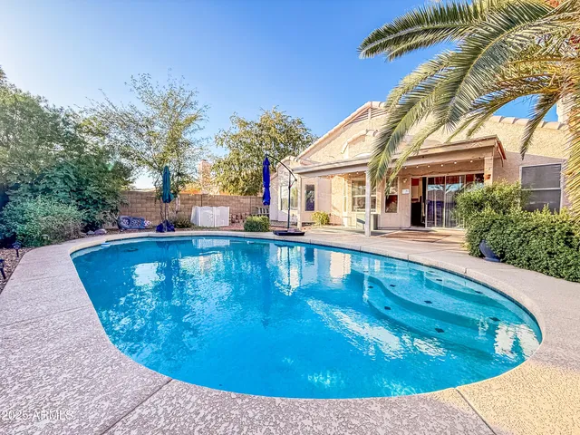 a view of a swimming pool with a backyard