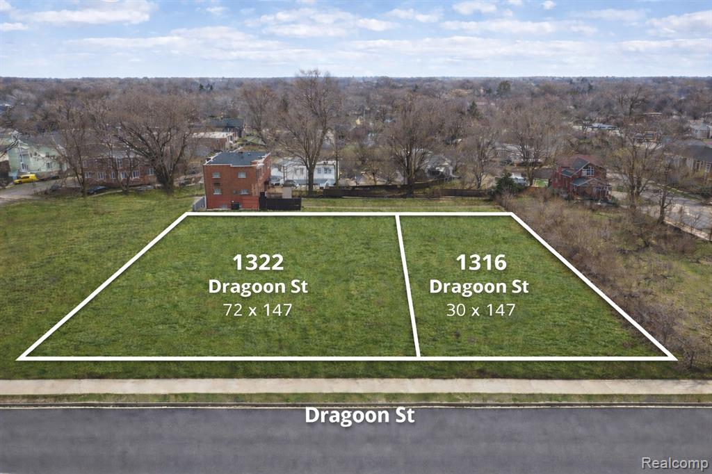 1316 Dragoon Street Detroit, MI 48209 - Photo 1 of 1