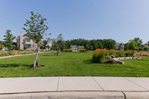 5237 West Olive Avenue Chicago, IL 60646 - Photo 3 of 16