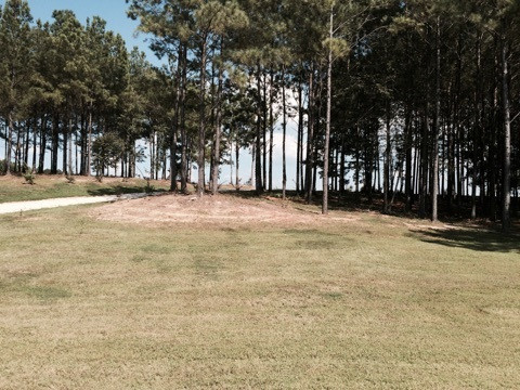 1157 Leesburg Road Pelahatchie, MS 39145 - Photo 8 of 12 Photo 10