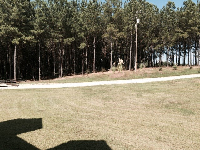 1157 Leesburg Road Pelahatchie, MS 39145 - Photo 9 of 12 Photo 11