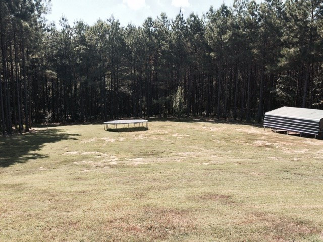1157 Leesburg Road Pelahatchie, MS 39145 - Photo 10 of 12 Photo 12