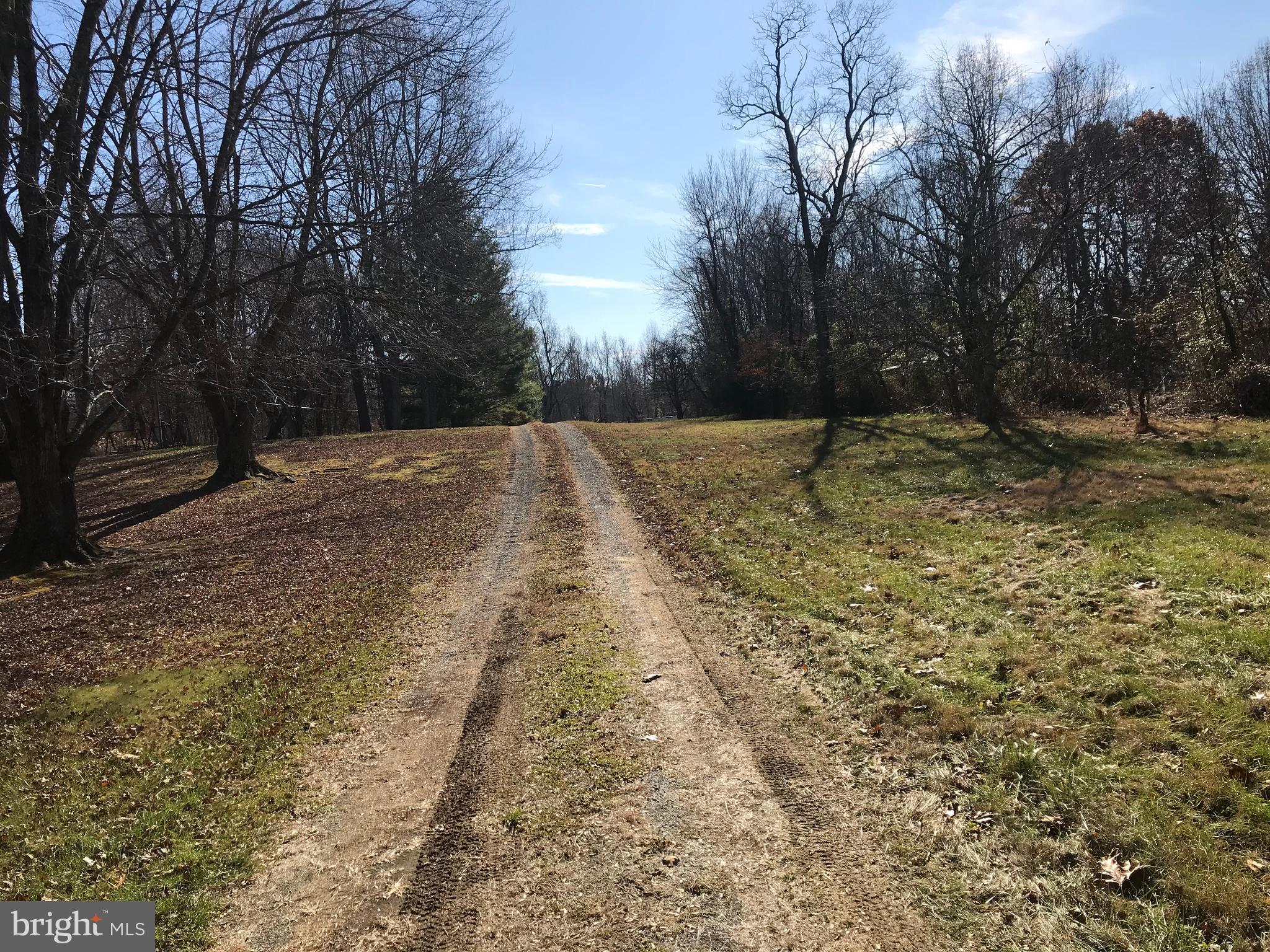 17016 Waterloo Road Amissville, VA 20106 - Photo 2 of 21 Driveway approaching home