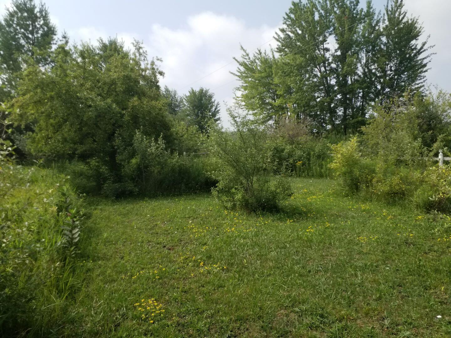 2875 Morris Road Herron, MI 49744 - Photo 12 of 17 Gallery Image 12