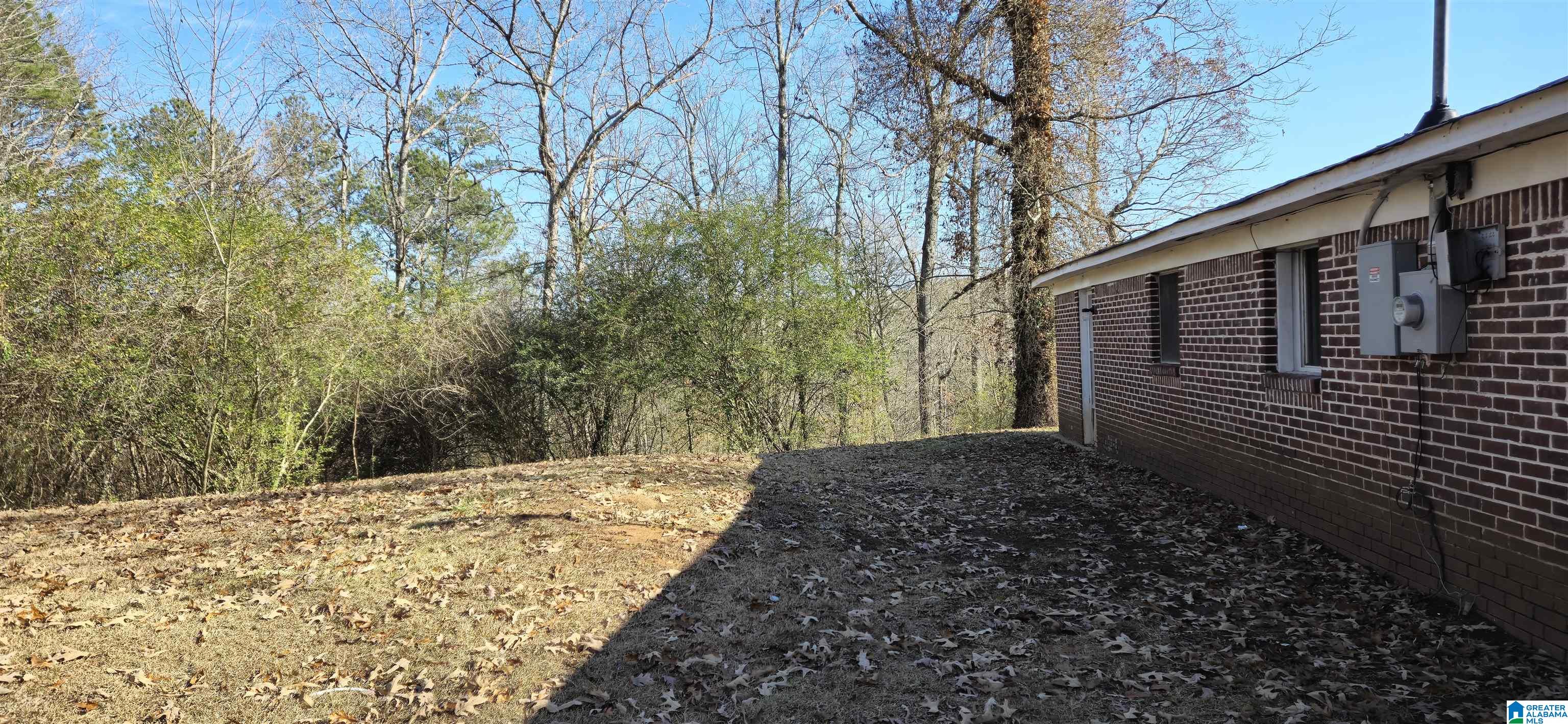 8897 Bradford Trafford Road Pinson, AL 35126 - Photo 3 of 21