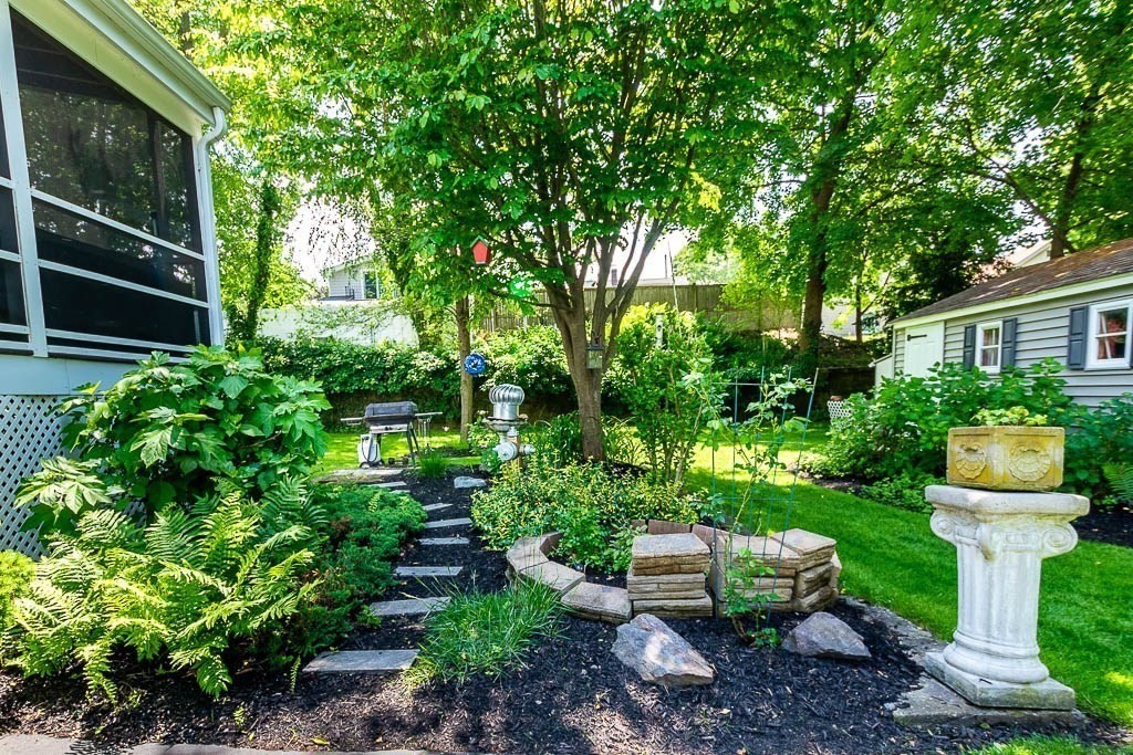 61 Crane Street Dedham, MA 02026 - Photo 31 of 42 a view of a garden with plants and large trees