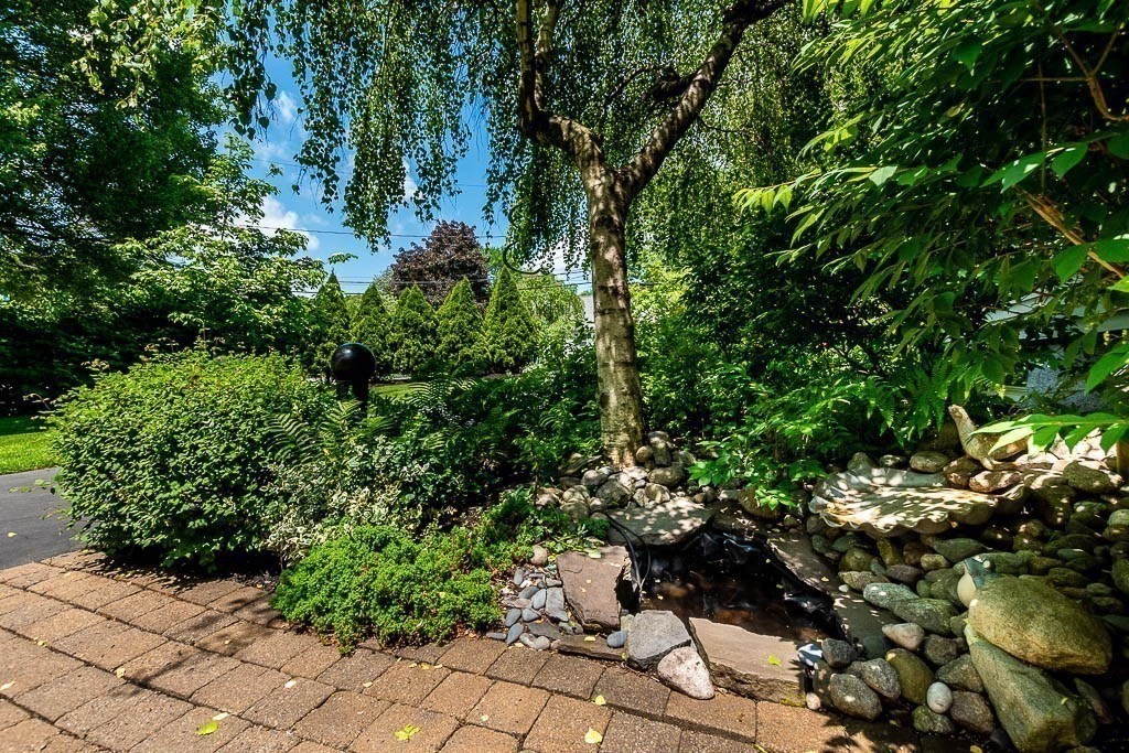61 Crane Street Dedham, MA 02026 - Photo 33 of 42 a view of a garden with plants