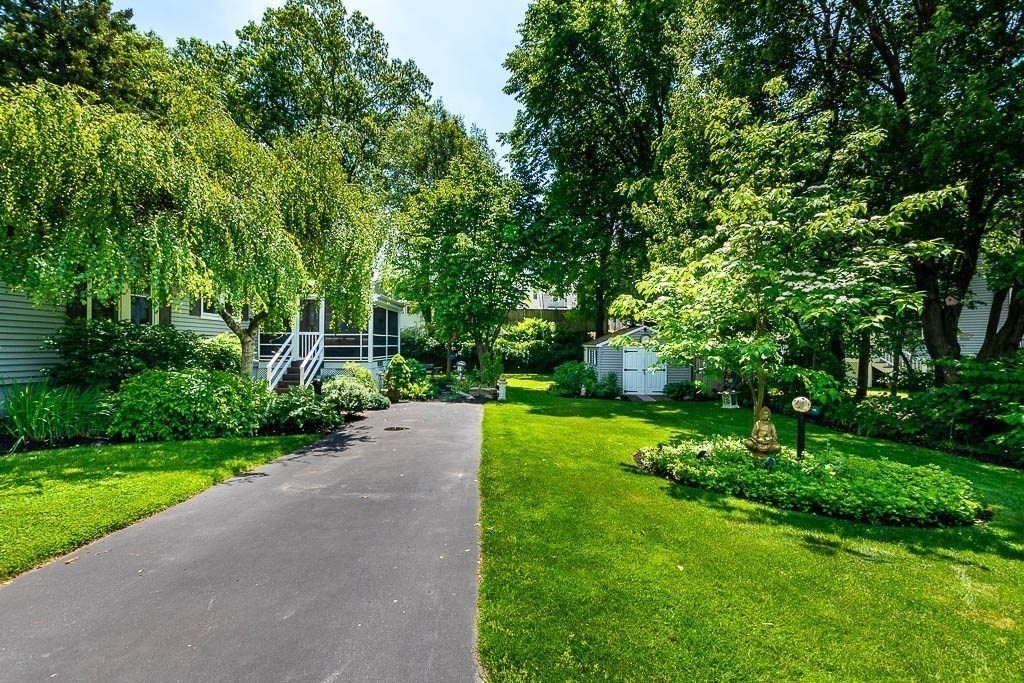 61 Crane Street Dedham, MA 02026 - Photo 40 of 42 a view of a park with large trees