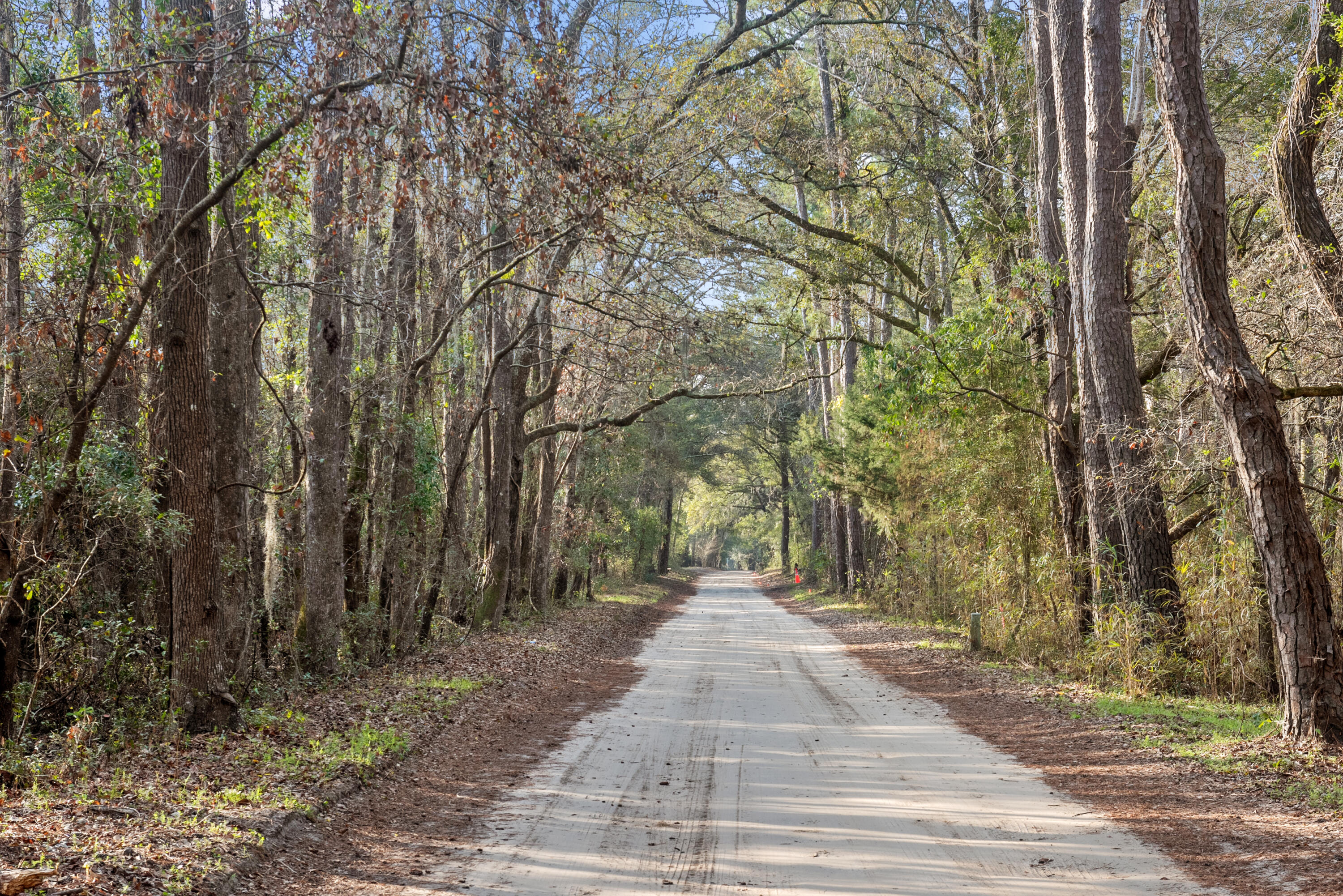 1433 Martins Point Road Wadmalaw Island, SC 29487 - Photo 54 of 61 DSC_6519