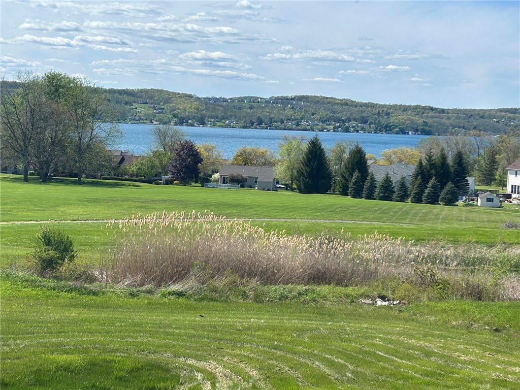 4536 Crystal Ridge Circle Gorham, NY 14424 - Photo 46 of 48