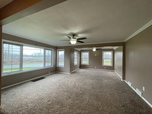 433 Warren Road Newton Falls, OH 44444 - Photo 5 of 12 Gallery Image 5