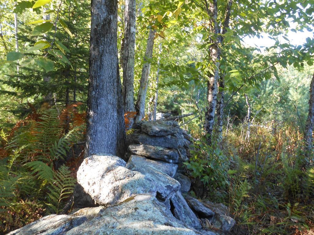 Lot 41 Stock Farm Road South Paris, ME 04281 - Photo 4 of 9 How long do you think these have...