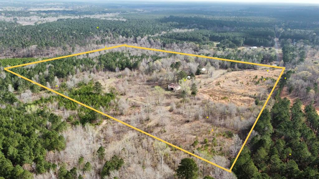 229 Padgett Road Benton, LA 71006 - Photo 2 of 9