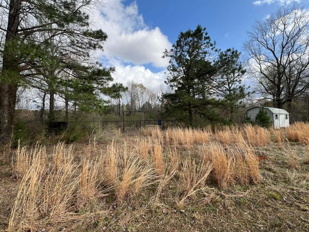 229 Padgett Road Benton, LA 71006 - Photo 7 of 9