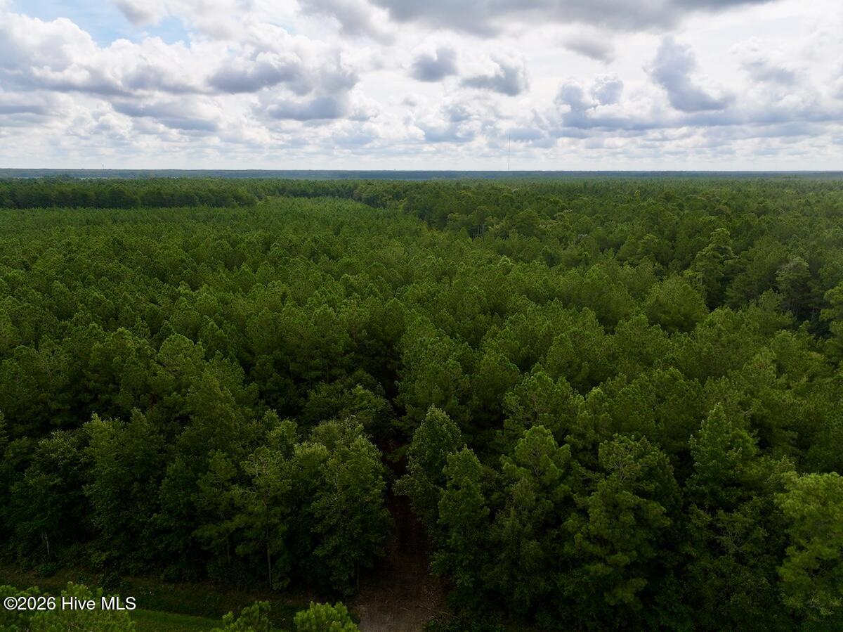 0 Cupelo Road Farmville, NC 27828 - Photo 2 of 18 Gallery Image 2