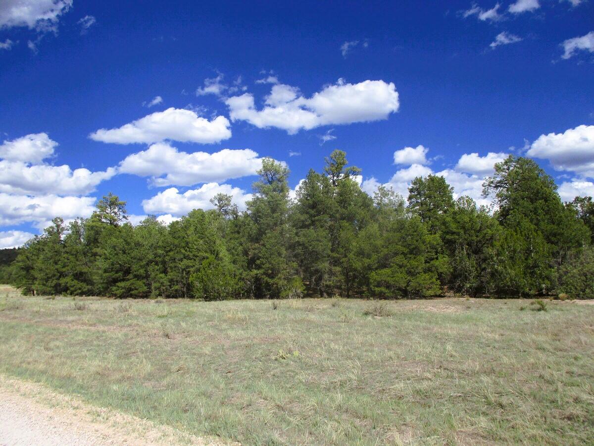 Lot 5 Copperweed Road Ramah, NM 87321 - Photo 2 of 88 Gallery Image 2