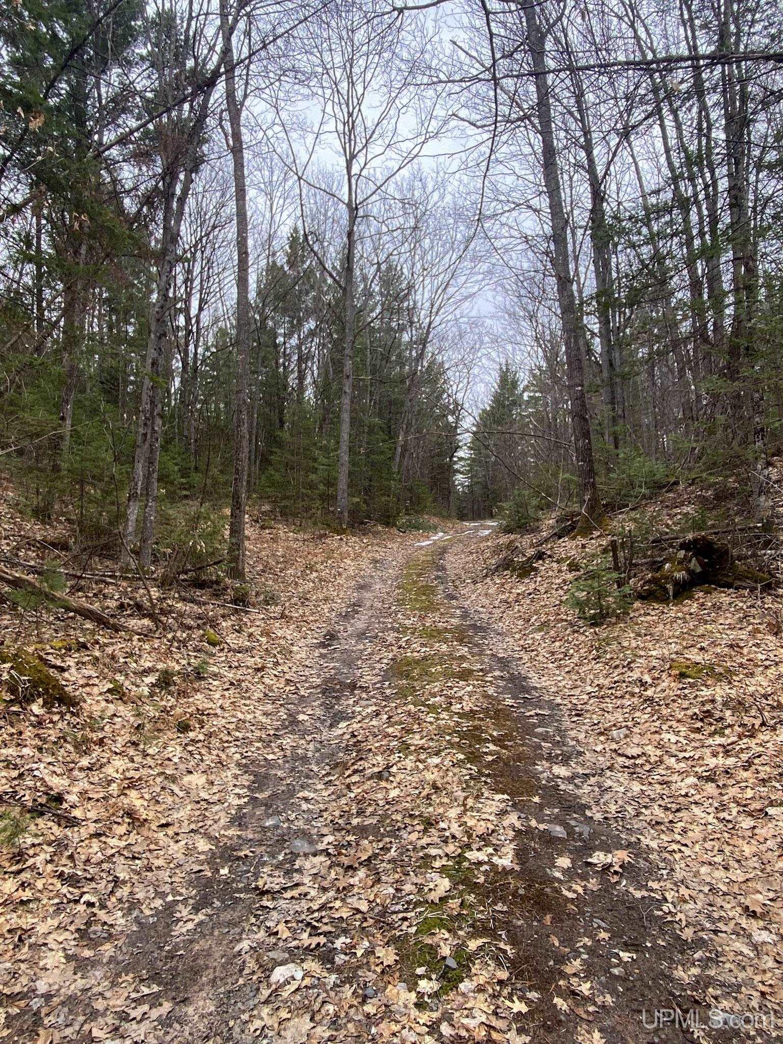 Tbd Tbd County Road Ishpeming, MI 49849 - Photo 17 of 24