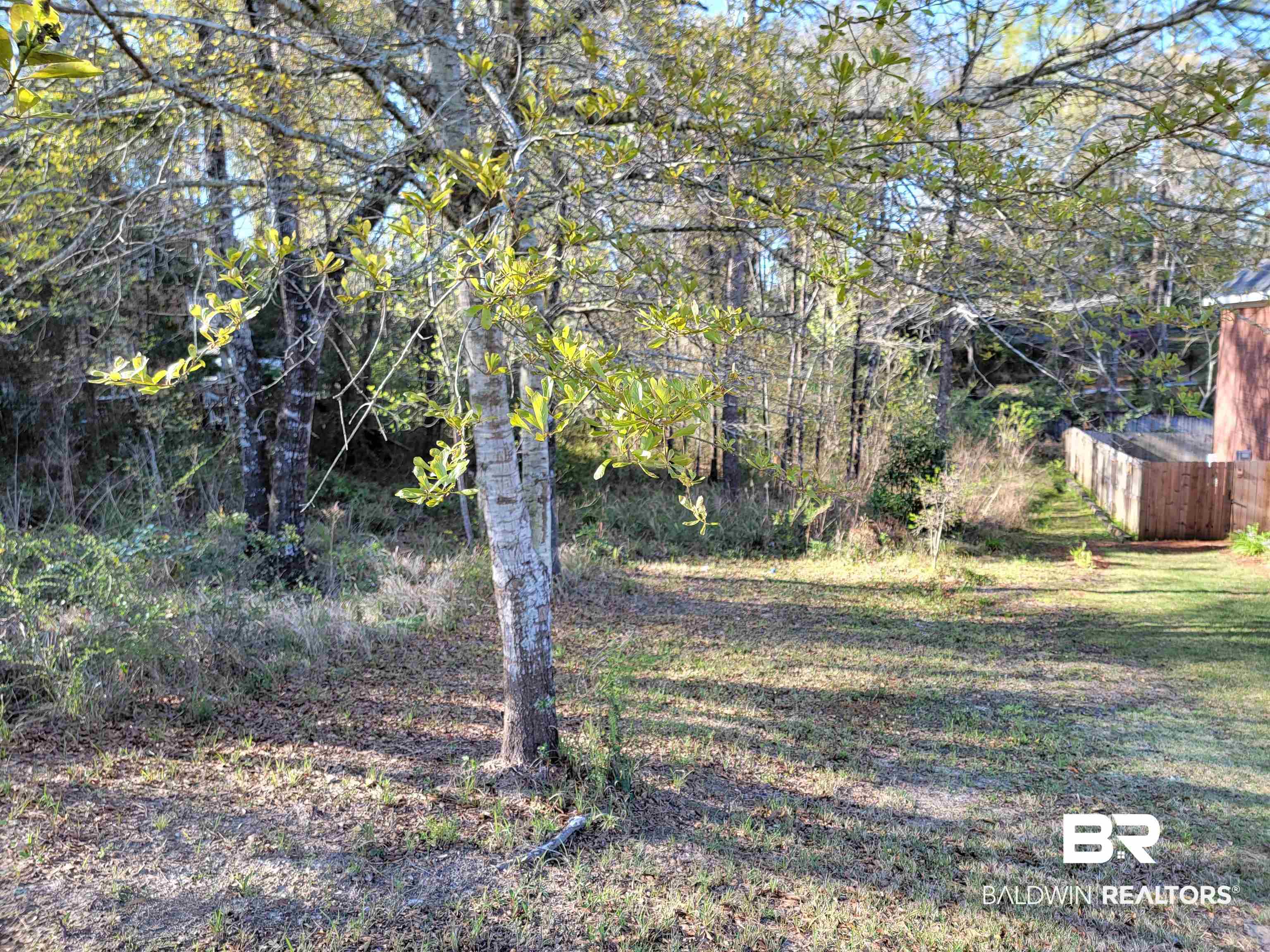 6595 Lubarrett Way Mobile, AL 36695 - Photo 4 of 4 View of yard