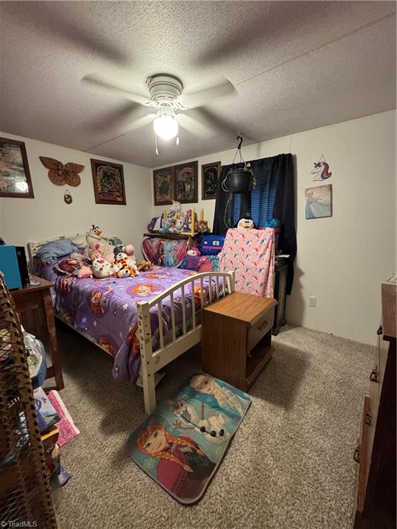 5020 Cashatt Road Trinity, NC 27370 - Photo 12 of 17